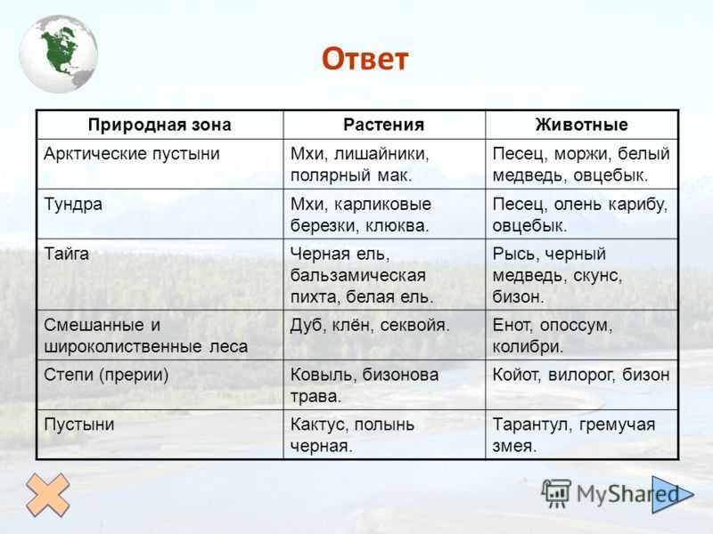 Зона арктических пустынь