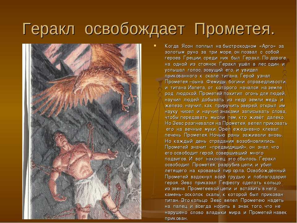 Золотое руно
