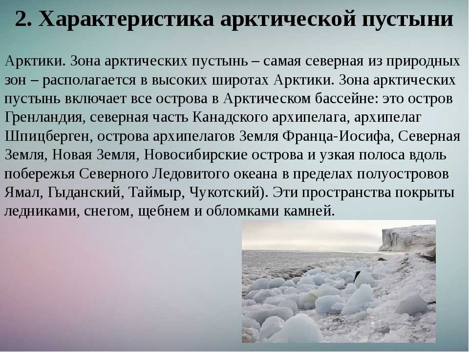 Животный мир, природа, климат и развитие арктики | детиарктики.рф