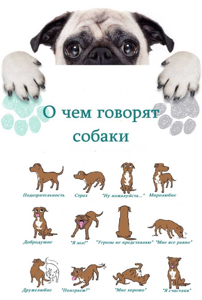 Топ-50 интересных фактов обо всем в картинках.