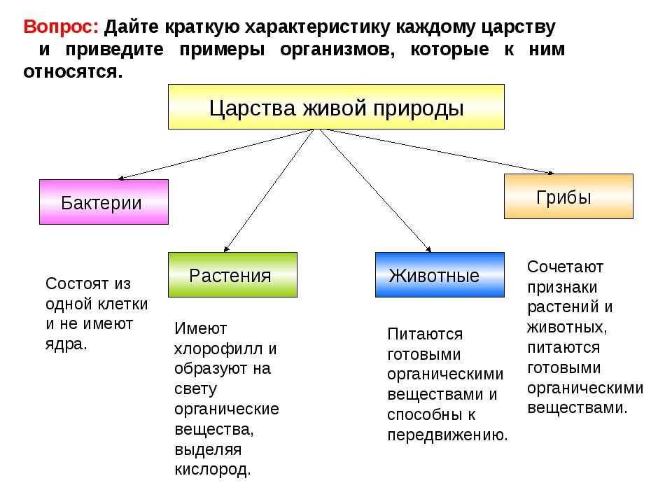 Садовые цветы: фото, названия и описания (каталог)