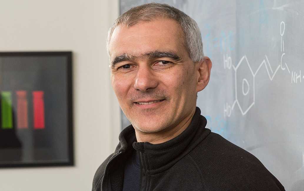 Nobel prize 2023: кому и за что присудили самую престижную премию в мире