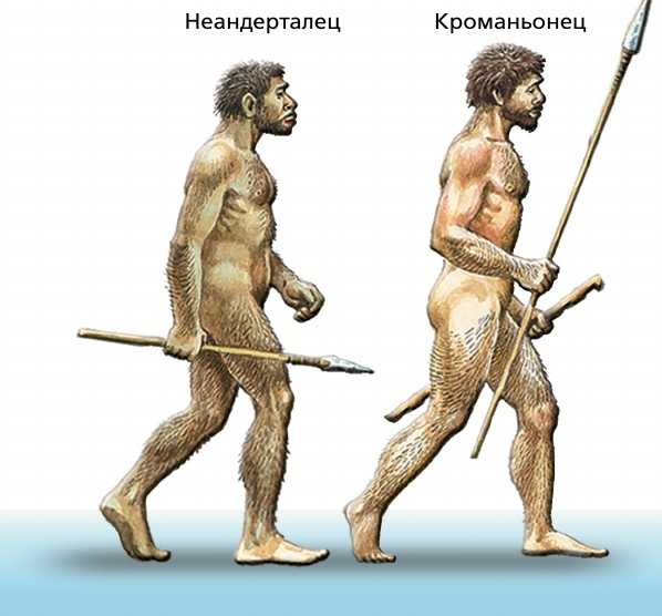 Как выглядели предки человека разумного: кто не смог пройти естественный отбор, а с кем все не так однозначно