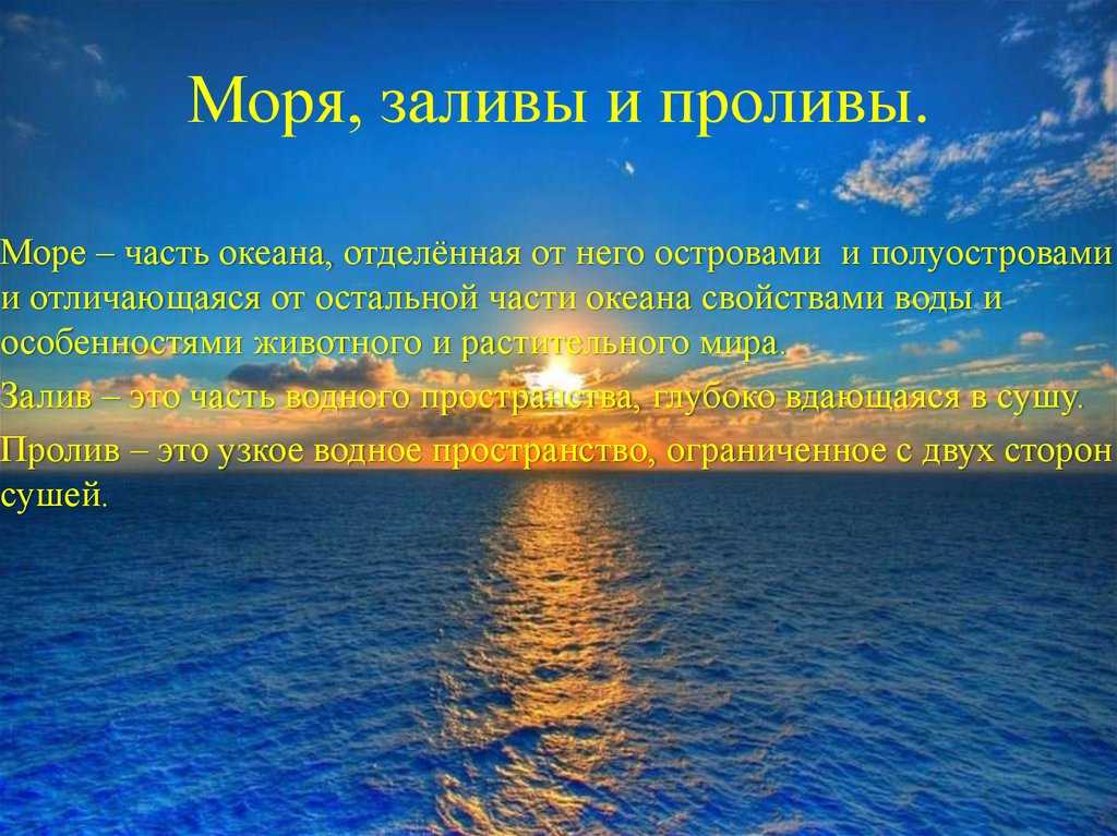 , что собой представляют моря и заливы На какие виды разделяются оба водоема Различия между морями и заливами