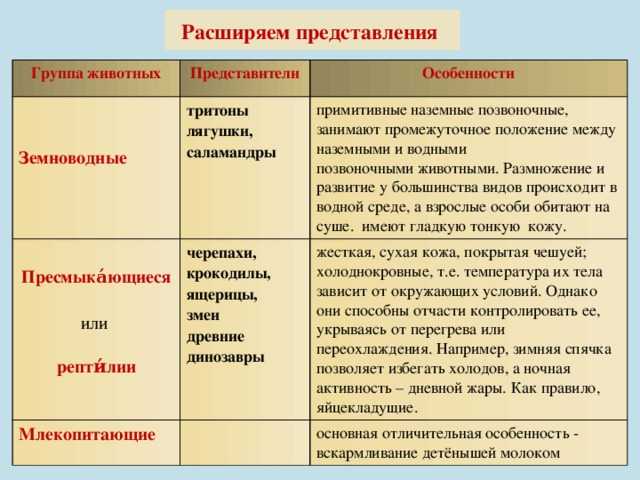 Отличия и сходства млекопитающих и пресмыкающихся