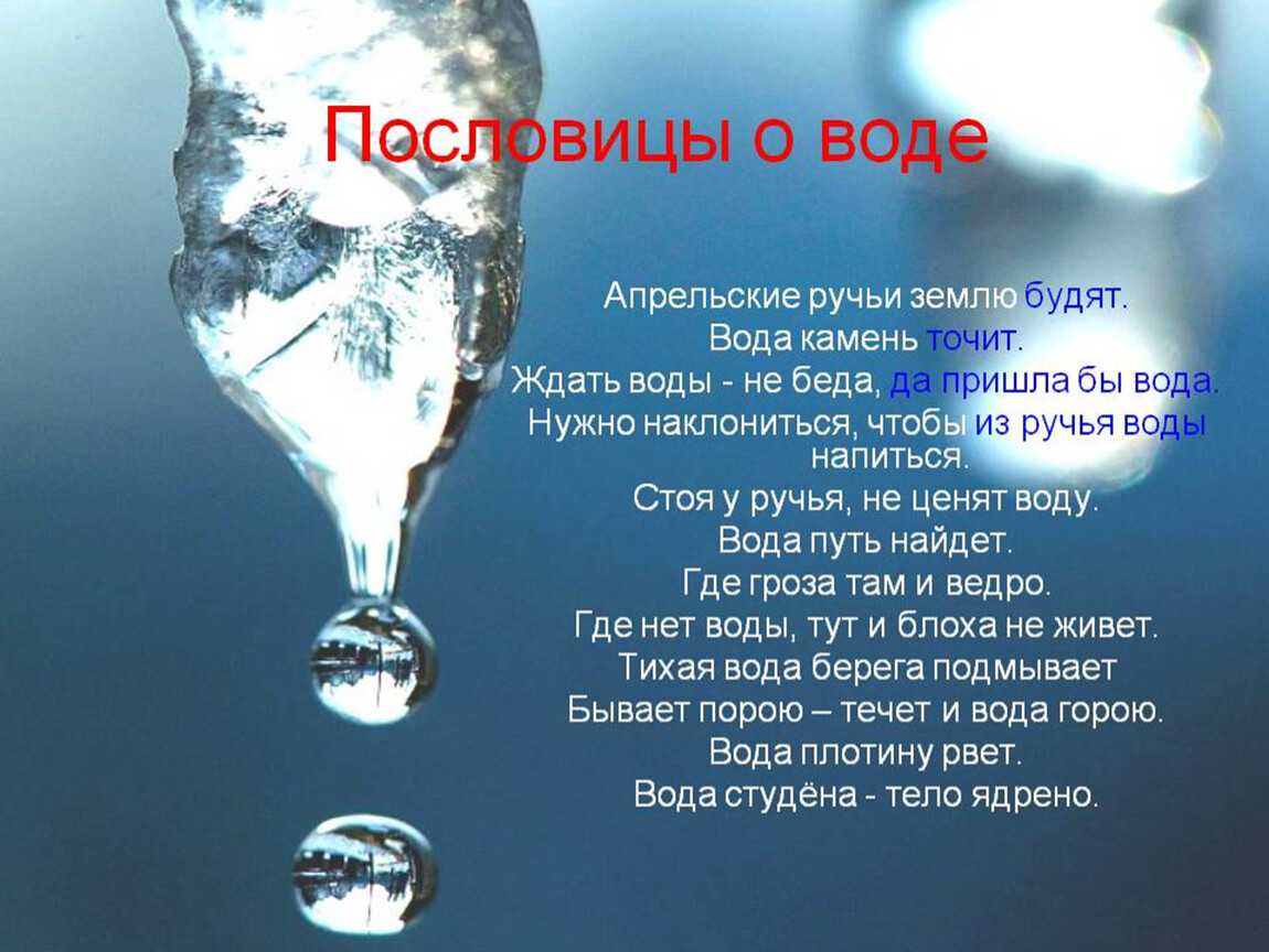 Какова роль воды в природе и жизни человека?