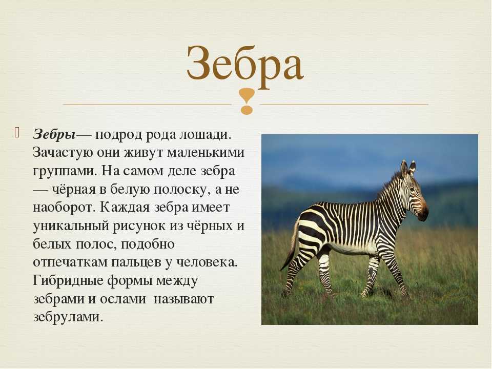 Зарождение жизни и эволюция