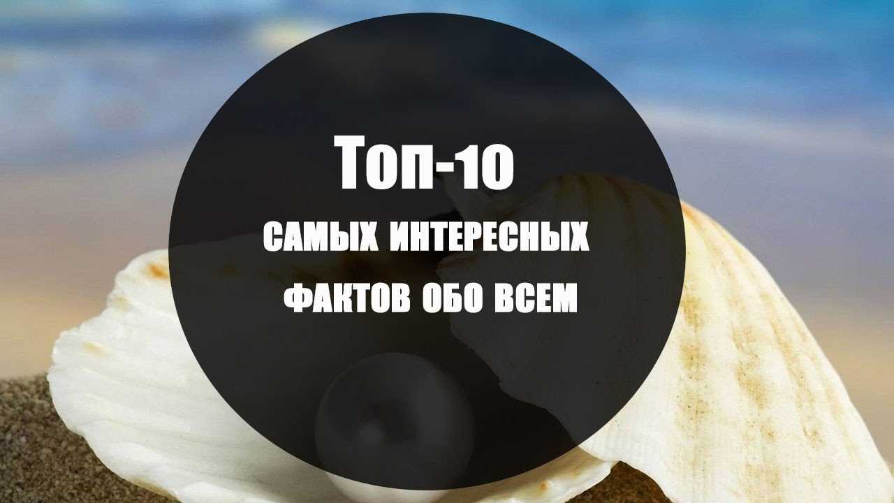 Топ-50 интересных фактов обо всем в картинках. | hawkish.ru