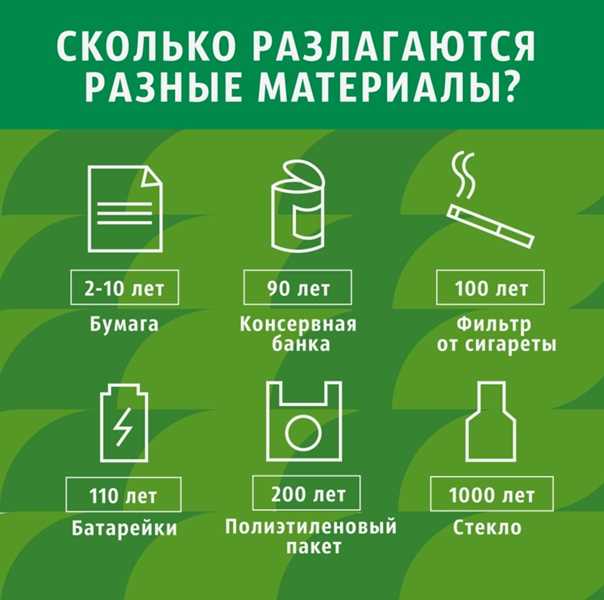 Сколько лет разлагается мусор - пластик, стекло, пластиковая бутылка, пакет, бумага