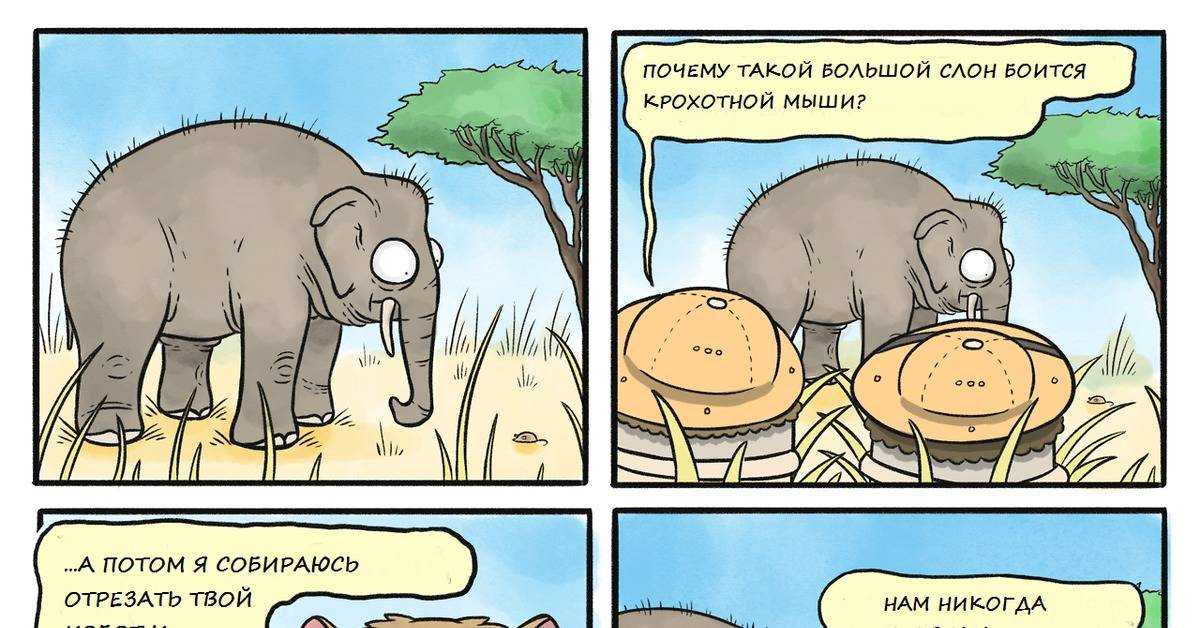 Слоны боятся мышей – правда или вымысел?