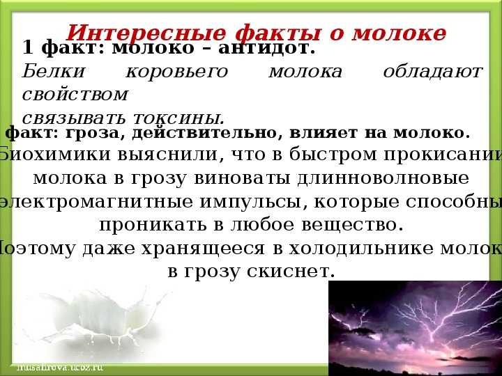 12 удивительных фактов о молоке - zefirka