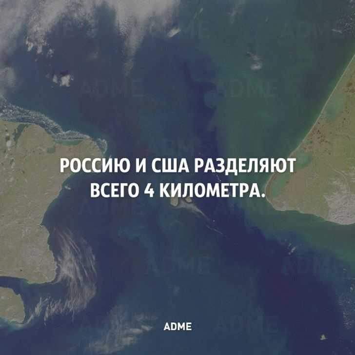 Интересные факты из жизни лермонтова: 10 самых значимых из его биографии и творчества, которые кратко изучают в 4 классе российских школ