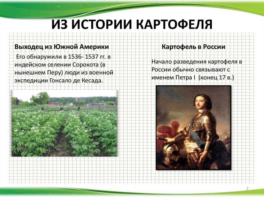 Ответы в игре поле чудес за 19 мая 2023 последний выпуск