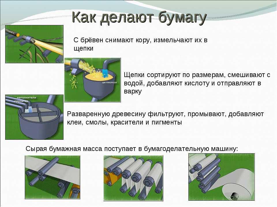 Как делают бумагу: технология производства, сырье, характеристики