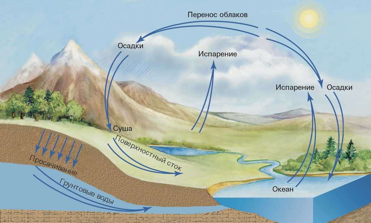 Почему вода держится на земле. откуда берется вода? основные источники возникновения и пополнения запасов воды на земле. безводные метеориты сформировали землю
