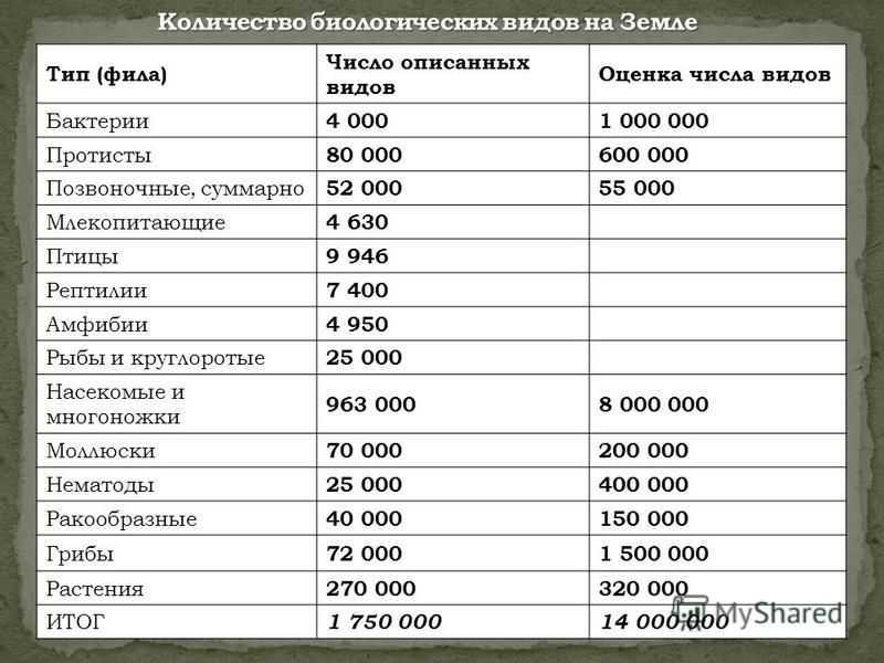 Сколько видов деревьев растет на земле? сколько деревьев приходится на человека в каждой стране мира сколько видов деревьев в мире число
