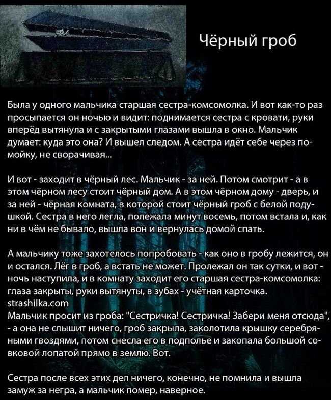 Странные истории, которые тебя чему-нибудь научат