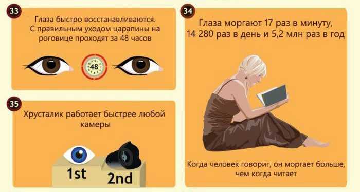 Интересные факты о глазах человека