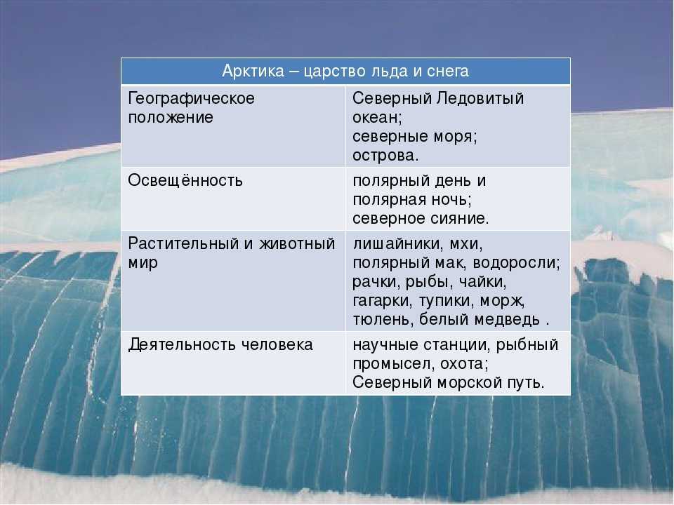Арктическая пустыня – описание, расположение, особенности, фото и видео