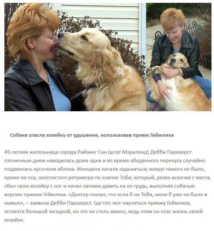 9/11: истории пяти выживших в самом сердце катастрофы
