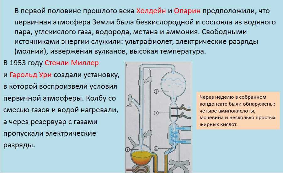«искусственная гордость не способствует качеству образования». константин северинов о российской науке
