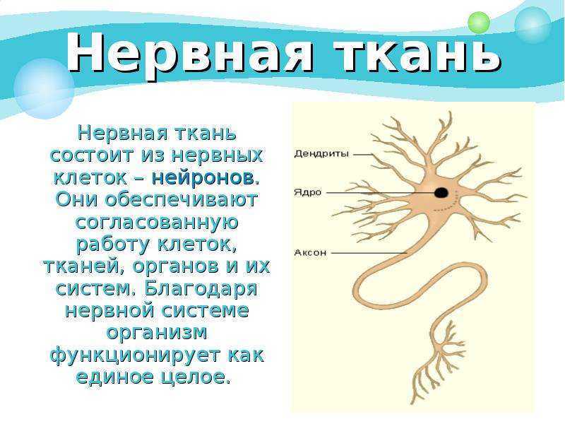 Каждый человек индивидуален — оставайся собой!
