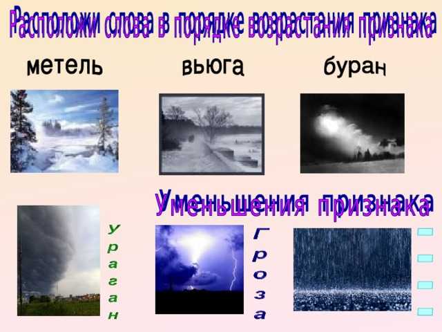 Вьюги и метели: значение и причины их появления в феврале