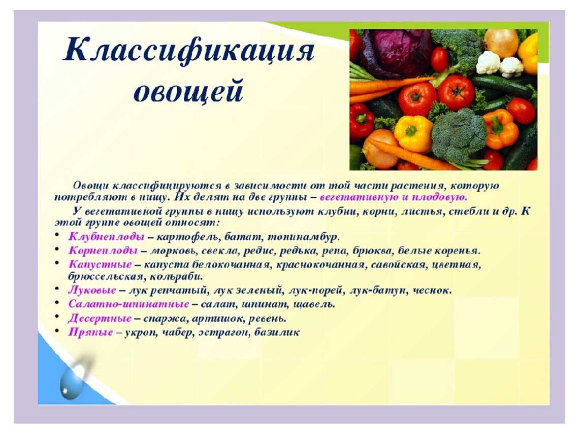 Классификация овощных культур на огороде
