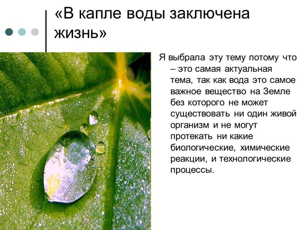 Дождь