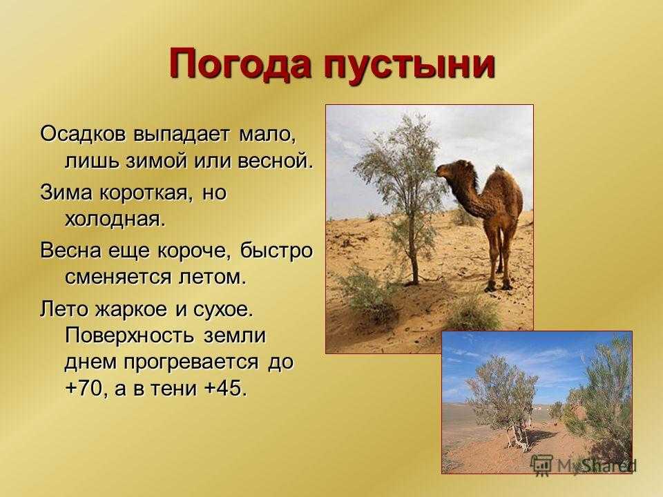 Самые невероятные пустыни мира