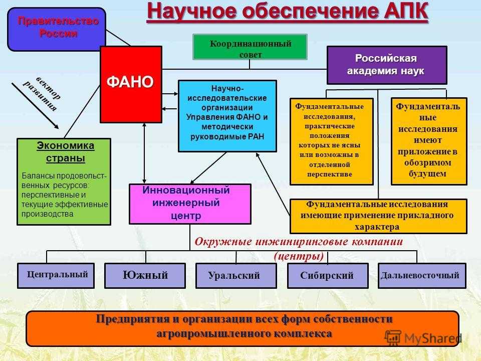 «мировая научная держава»: как в россии развивается фундаментальная наука международного уровня