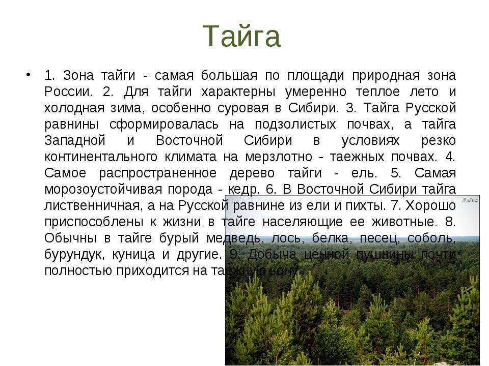 Урок 8: природно - хозяйственная зона - 100urokov.ru