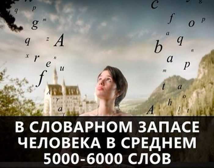 Топ-50 интересных фактов обо всем в картинках.