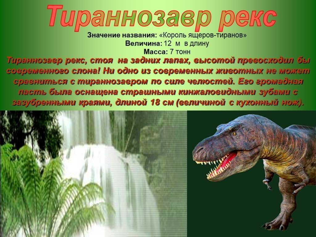 Доклад на тему тираннозавр (сообщение 1, 5, 7 класс биология) (описание для детей)