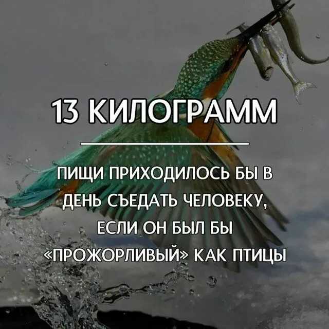 Разные факты обо всем