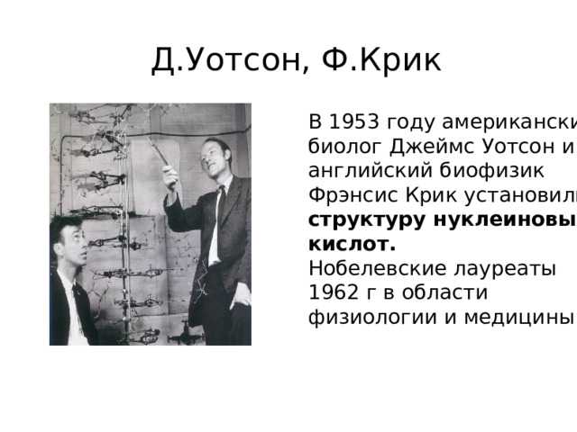 Открытие структуры днк уотсоном и криком