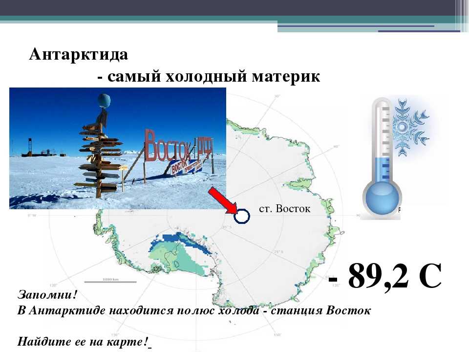 Сочинение самый холодный материк на земле антарктида