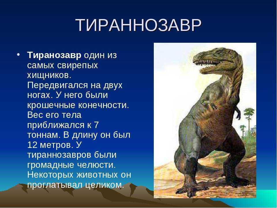 Тираннозавр: внешний вид и особенности крупнейшего динозавра