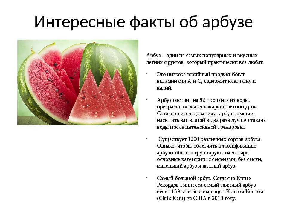 Дыня: калорийность, состав. польза дыни. полезные свойства дыни для организма