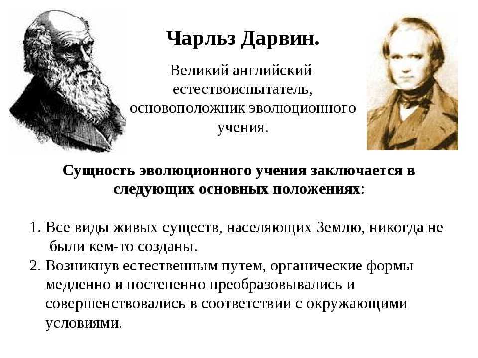 Дарвин и плагиат: кто настоящий автор теории эволюции?