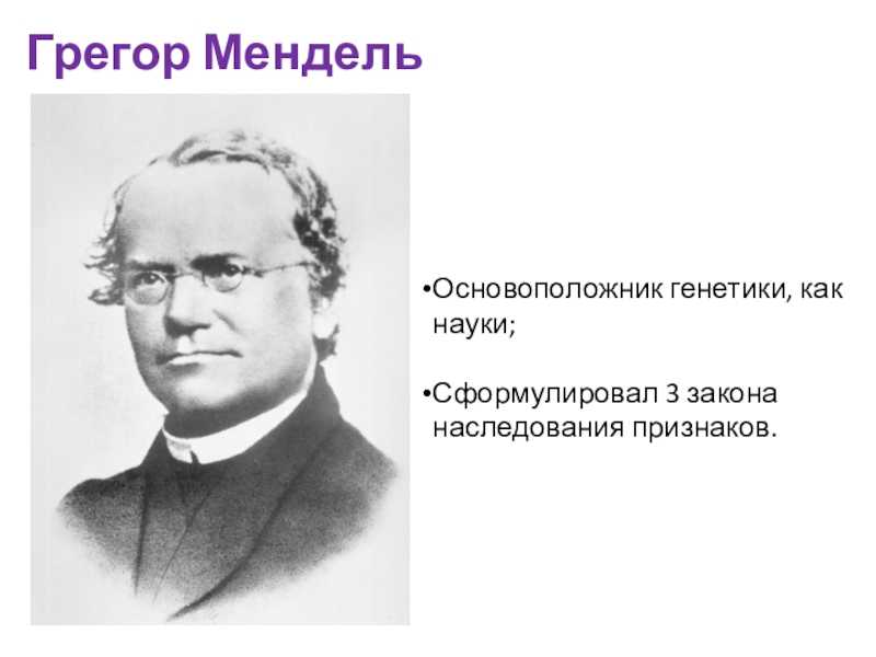 Юбилей эволюции: как книга дарвина перевернула мир