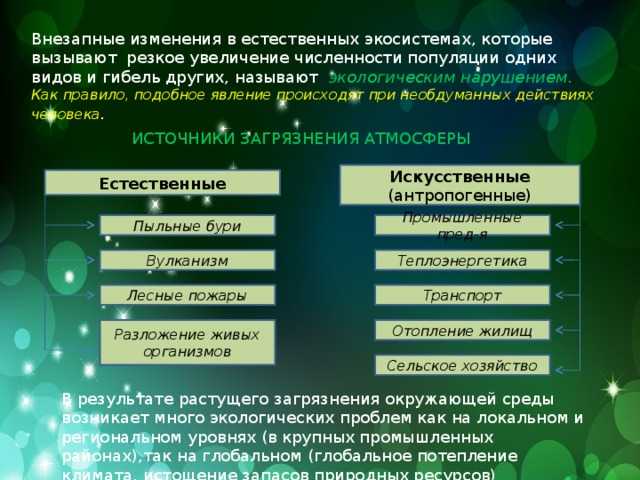 Тундра - это особая природная зона. характеристики ее климата, почв, флоры и фауны