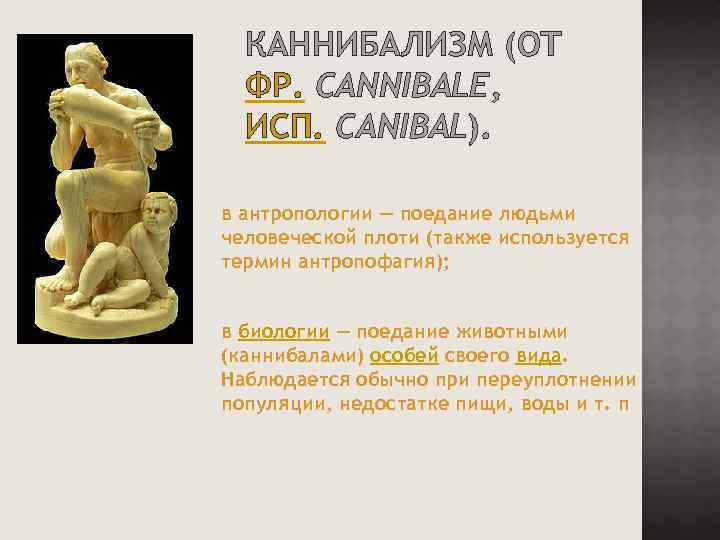 Почему обезьяны крадут детенышей других обезьян: основные причины