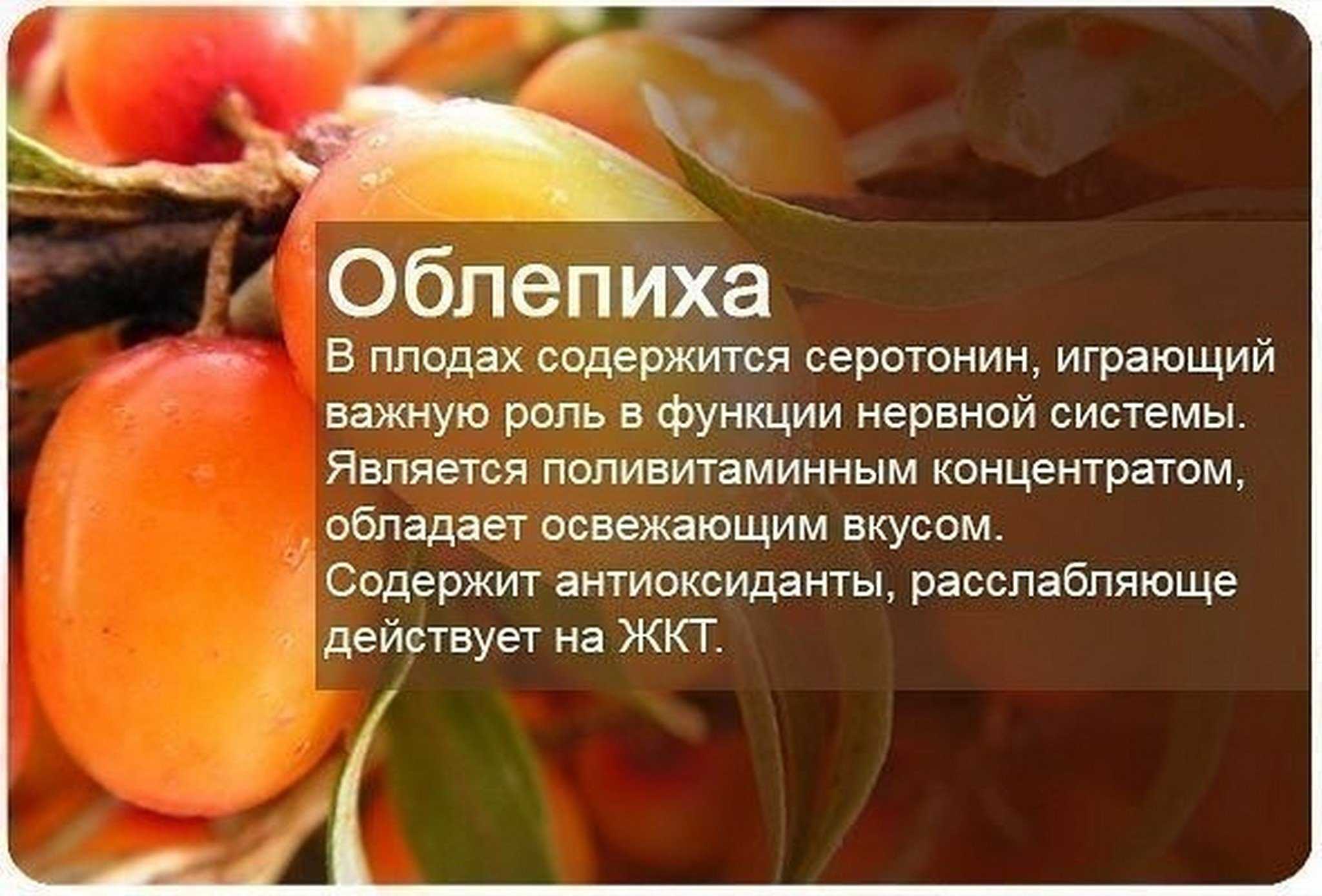 Забавные факты о фруктах и ​​овощах