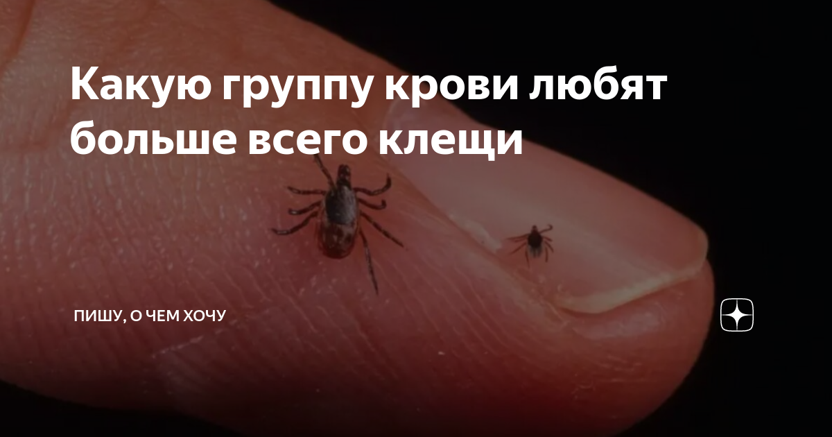 Сколько живет комар с кровью и без?
