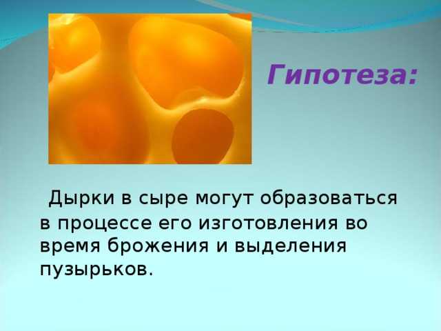 Итак, почему в сыре дырки. откуда в сыре дырки