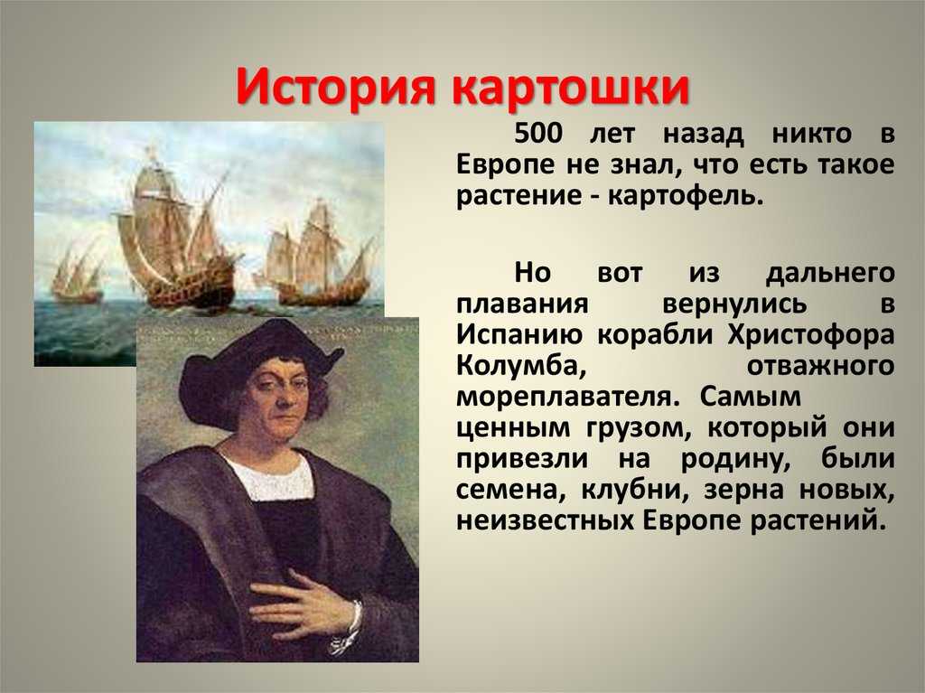 История появления картофеля в европе. кто привез картофель в европу книжная история картофеля в xvi веке