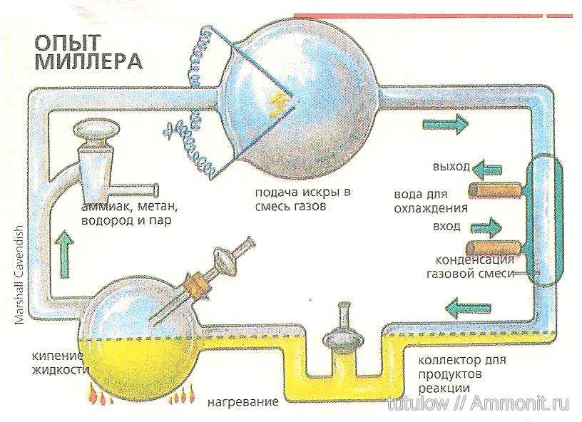 Опыт миллера и юри кратко. опыт миллера