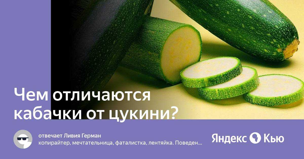 5 моих любимых сортов и гибридов кабачков-цукини. описание, фото — ботаничка